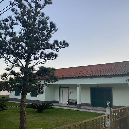 Ponta Delgada Green Tropical House מראה חיצוני תמונה