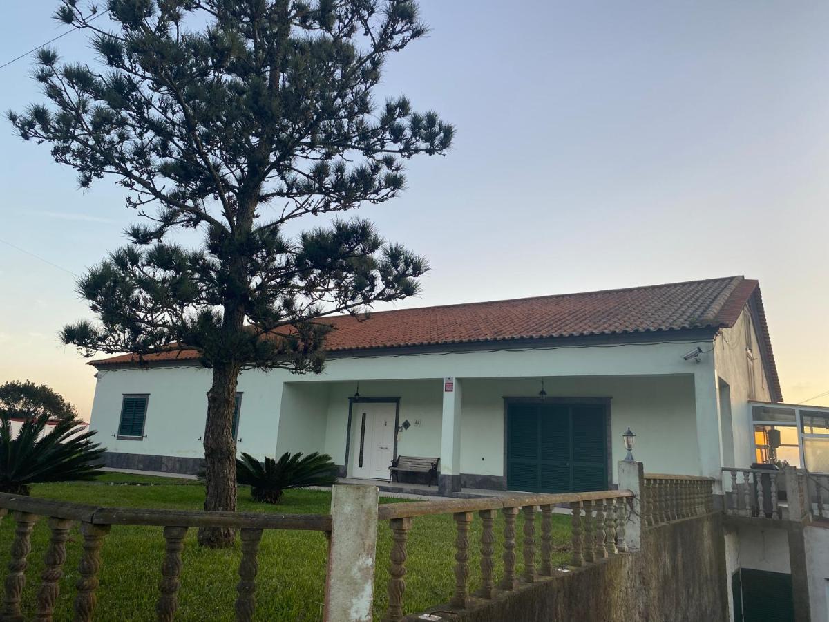 Ponta Delgada Green Tropical House מראה חיצוני תמונה